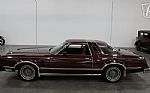 1979 Thunderbird Thumbnail 4