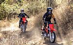 2026 CRF Thumbnail 3