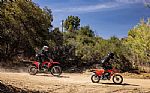 2026 CRF Thumbnail 5