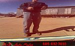 1950 Deluxe Thumbnail 117