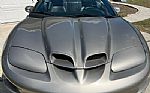 2000 Firebird Trans Am Thumbnail 16