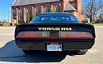 1979 Trans Am Thumbnail 7
