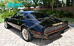 1979 Trans Am Special Edition Y84 Thumbnail 5