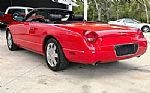 2002 Thunderbird Thumbnail 9