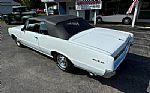1964 GTO Thumbnail 17