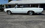 1964 GTO Thumbnail 16