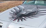 1979 Trans Am Thumbnail 5