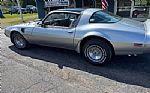 1979 Trans Am Thumbnail 21