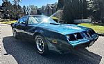 1979 Trans Am Thumbnail 2