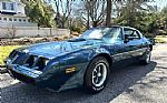 1979 Trans Am Thumbnail 7