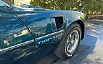 1979 Trans Am Thumbnail 12