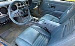 1979 Trans Am Thumbnail 14