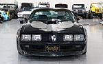 1979 Trans Am Thumbnail 3