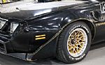 1979 Trans Am Thumbnail 13