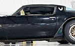 1979 Trans Am Thumbnail 17