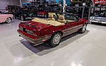 1989 Mustang LX 5.0L Convertible Thumbnail 20