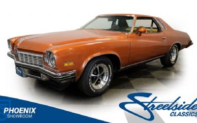 Photo of a 1974 Buick Century Luxus for sale