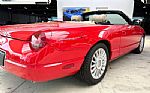 2005 Thunderbird Thumbnail 16