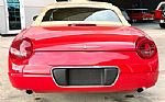 2005 Thunderbird Thumbnail 27