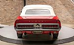 1968 GT350 Thumbnail 8