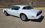 1979 Trans Am Thumbnail 7