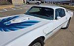 1979 Trans Am Thumbnail 12