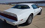 1979 Trans Am Thumbnail 9