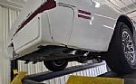 1979 Trans Am Thumbnail 21