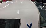1979 Trans Am Thumbnail 49