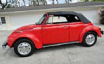 1978 Beetle Thumbnail 17