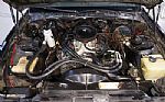 1982 Firebird Trans Am Thumbnail 74