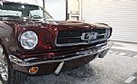 1965 Mustang Thumbnail 16