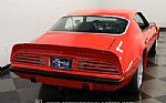 1974 Firebird Trans Am Tribute Rest Thumbnail 10