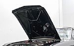 1966 Mustang Fastback GT350H Tribut Thumbnail 41