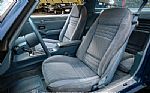 1979 Firebird Trans Am Thumbnail 59