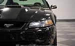 2003 Mustang Mach 1 Thumbnail 21