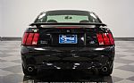 2003 Mustang Mach 1 Thumbnail 26