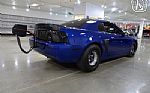 2003 Mustang Cobra Terminator Thumbnail 16