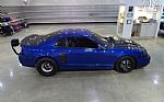 2003 Mustang Cobra Terminator Thumbnail 18