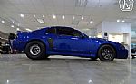 2003 Mustang Cobra Terminator Thumbnail 20