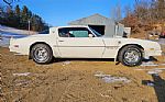 1976 Firebird Trans Am Thumbnail 2