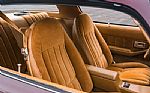 1980 Z/28 Thumbnail 83