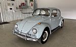 1967 Beetle Thumbnail 2