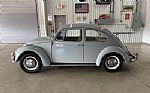 1967 Beetle Thumbnail 1