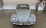 1967 Beetle Thumbnail 3