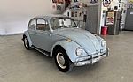 1967 Beetle Thumbnail 4