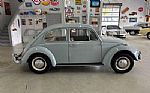 1967 Beetle Thumbnail 5