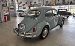 1967 Beetle Thumbnail 6
