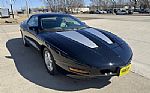1995 Firebird Thumbnail 2