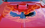 1975 Firebird Trans-Am Thumbnail 39